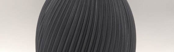 Vase für Trockenblumen